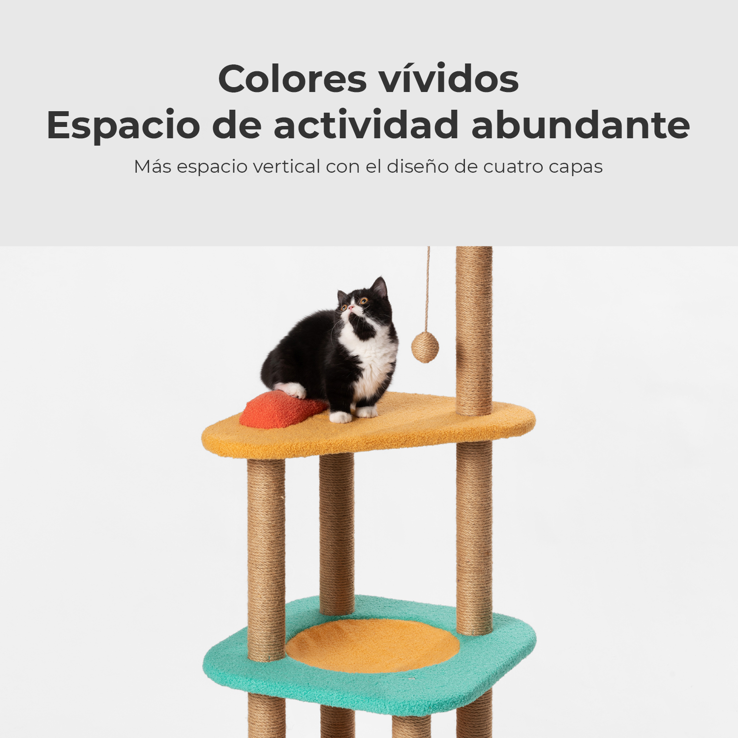 Pidan - Trepador / para Gatos - Árbol gatos - Smart Concept